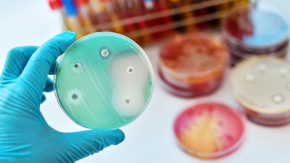 Uso prudente de los antibioticos